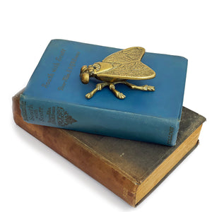 Brass Fly Trinket Box