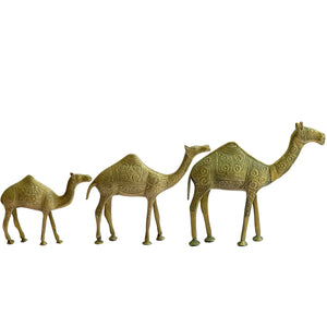 Set of Three Large Brass Camels