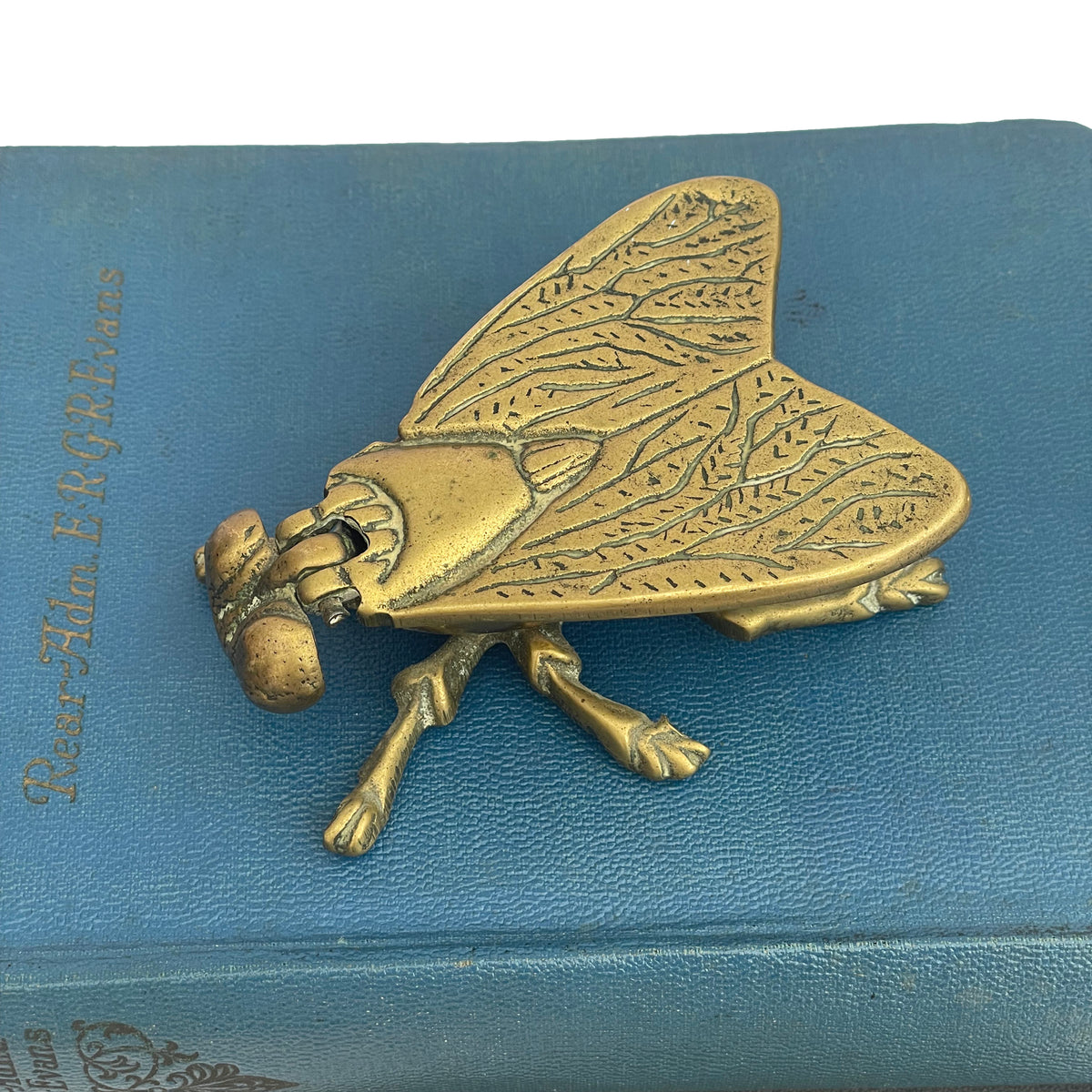 Brass Fly Trinket Box
