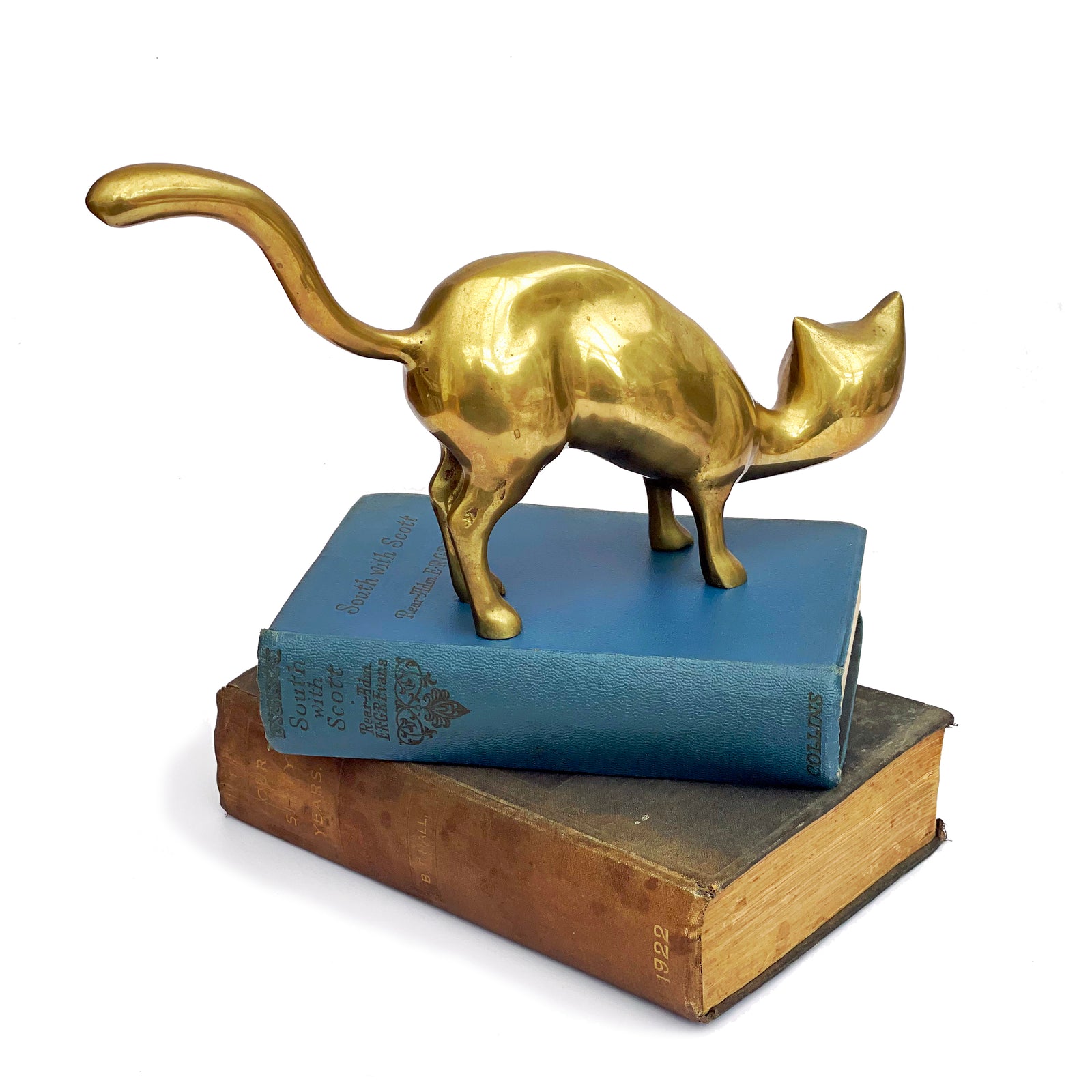 Large Brass Cat