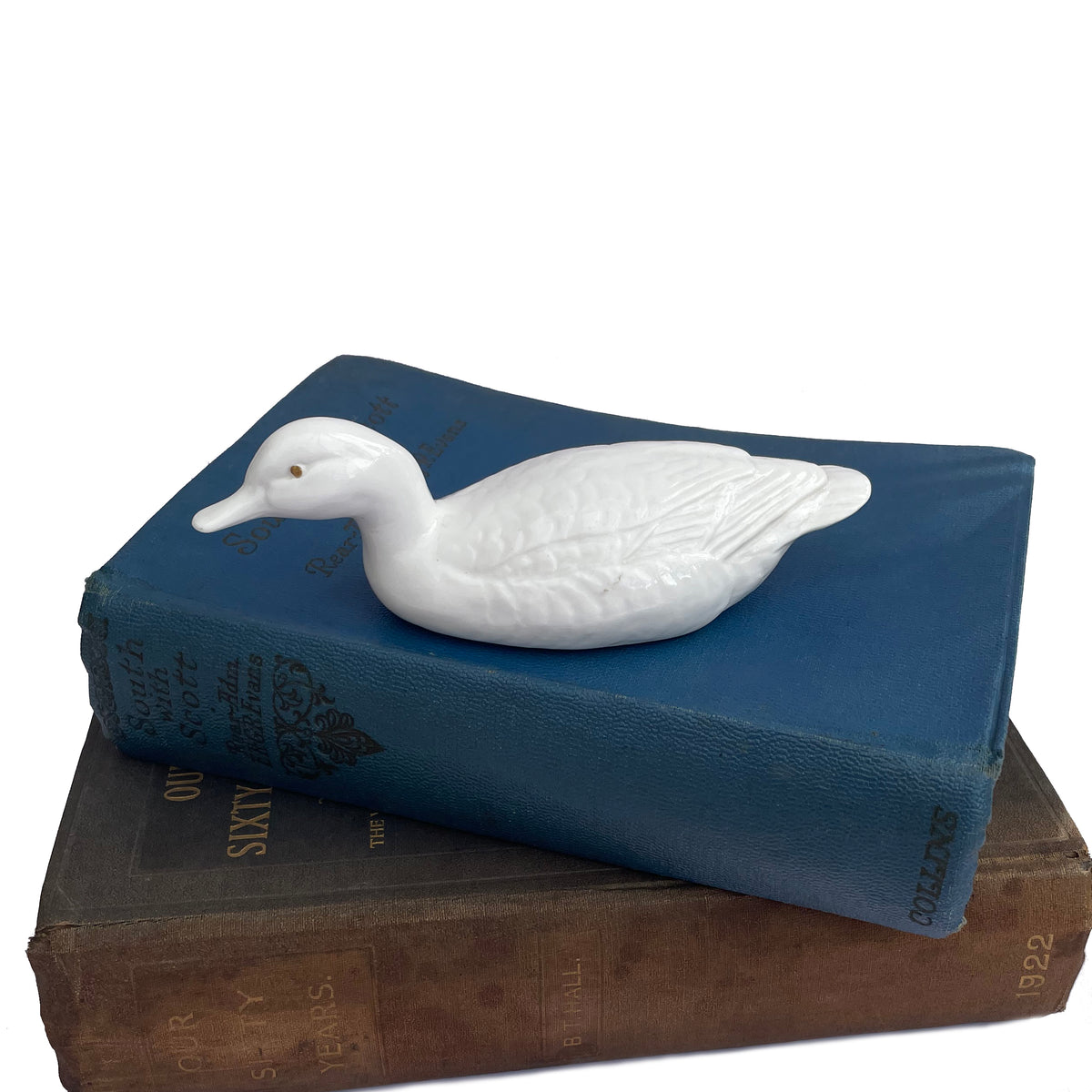 Porcelain Duck