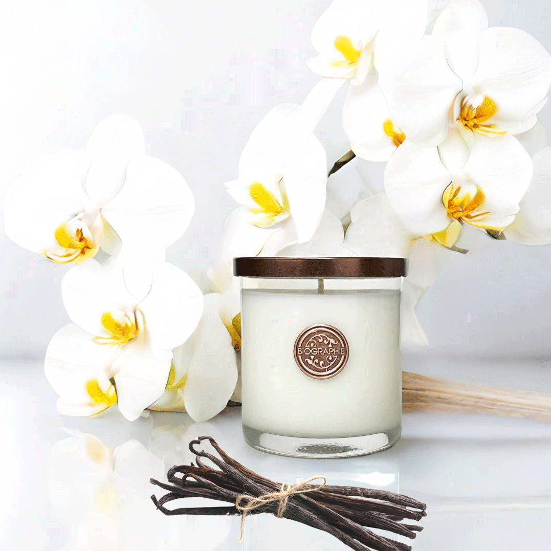 Vanilla Forest Upcycled Candle