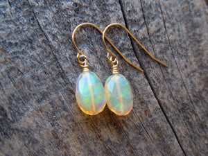 3.6 Carat Opal Earrings in 14k Gold