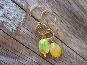 Fire Opal Earrings in 14k Gold
